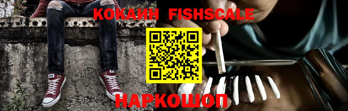 Орехово-Зуево  COCAIN Fish Scale  Вход с VPN 