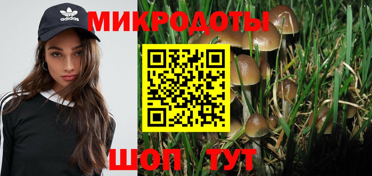 Орехово-Зуево  Псилоцибиновые грибы мицелий  Вход с VPN  Галлюциногенные грибы GOLDEN TEACHER 